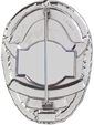 law enforcement badge