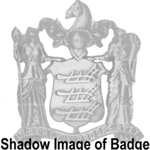 B1007 - Image 1