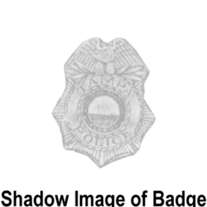 C8713 - Image 1