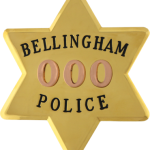 AH7690-V13 - Image 1